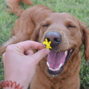 Meet your Posher, Karley